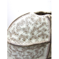 Wazon Ceramiczny ART Płaski 37cm